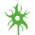 Neurological Disorder